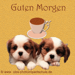 Guten Morgen - GB Pics - GB Bilder - Gstebuchbilder - Guten Morgen Gre - Jappy Bilder