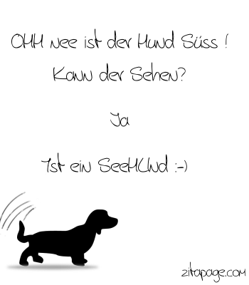 lustige Pics, lustig, lustige Bilder, GB Bilder - GB Pics - Gästebuchbilder - Jappy - Seehund - Hund Seehund - Hund - lustige Pics, lustig, lustige Bilder, GB Bilder - GB Pics - Gästebuchbilder - Jappy