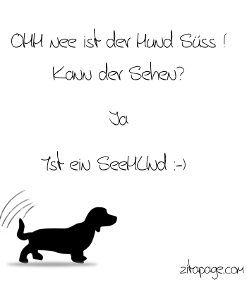 Seehund - Hund - lustige Pics, lustig, lustige Bilder, GB Bilder - GB Pics - Gstebuchbilder - Jappy