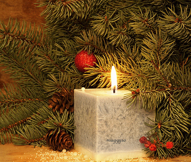 1. Advent GB Pics - Gästebuch Bilder - 1.advent_gb-bild-fgh.gif 1. Advent GB Pics - Gästebuch Bilder - 1.advent_gb-bild-fgh.gif