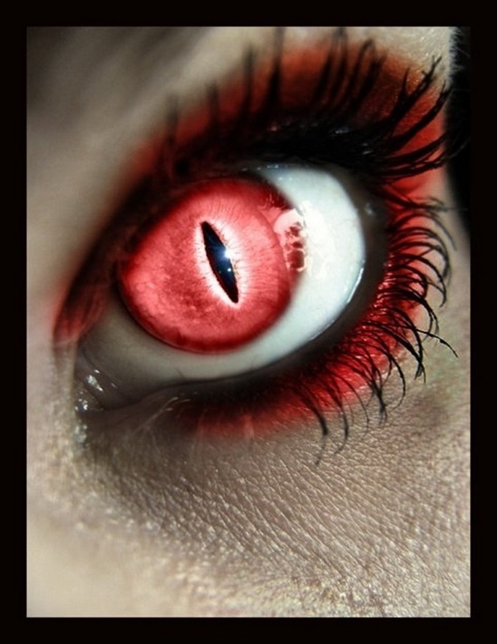 Augen GB Pics - Gästebuch Bilder - 05-tier-augen.jpg Augen GB Pics - Gästebuch Bilder - 05-tier-augen.jpg