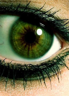 Augen GB Pics - Gstebuch Bilder - Augen32.jpg