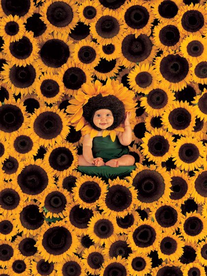Babies GB Pics - Gästebuch Bilder - baby_in_sonnenblumen__sunshine_baby.jpg Babies GB Pics - Gästebuch Bilder - baby_in_sonnenblumen__sunshine_baby.jpg