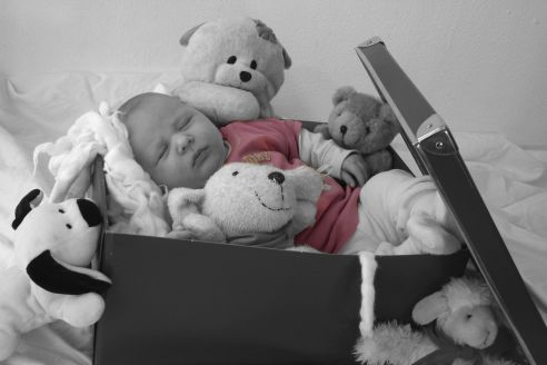 Babies GB Pics - Gästebuch Bilder - baby_mit_seinen_kuscheltieren_und_spielsachen.jpg Babies GB Pics - Gästebuch Bilder - baby_mit_seinen_kuscheltieren_und_spielsachen.jpg