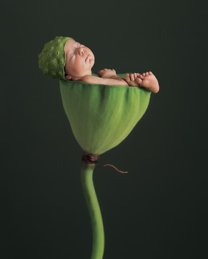 Babies GB Pics - Gstebuch Bilder - baby_schlaeft_in_einer_blume.jpg