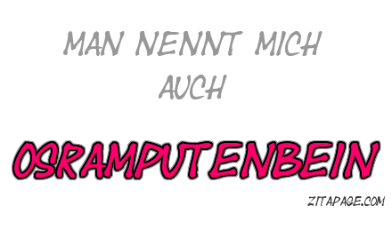 Coole GB Pics - Gstebuch Bilder - mann-nennt-mich-osramputzenbein.png