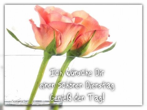 Dienstag GB Pics - Gstebuch Bilder - 2-rosen-zum-dienstag.jpg