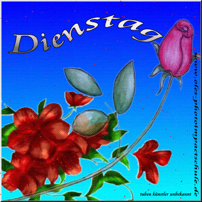 Dienstag GB Pics - Gästebuch Bilder - Dienstag-2.gif Dienstag GB Pics - Gästebuch Bilder - Dienstag-2.gif