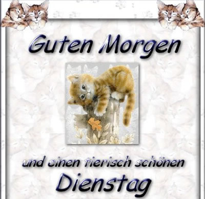 Dienstag GB Pics - Gästebuch Bilder - tierisch-schoenen-dienstag.jpg Dienstag GB Pics - Gästebuch Bilder - tierisch-schoenen-dienstag.jpg