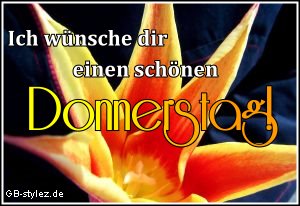 Donnerstag GB Pics - Gstebuch Bilder - 003-nice-donnerstag-blume.jpg