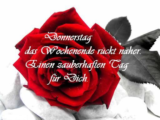 Donnerstag GB Pics - Gstebuch Bilder - zauberhaften-tag-rose.jpg