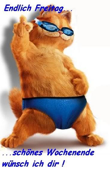 Freitag GB Pics - Gästebuch Bilder - garfield-coolen-freitag.jpg Freitag GB Pics - Gästebuch Bilder - garfield-coolen-freitag.jpg