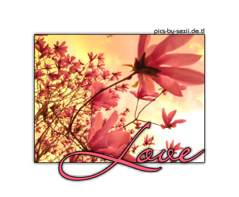 Love GB Pics - Gästebuch Bilder - 100-love_7.png Love GB Pics - Gästebuch Bilder - 100-love_7.png