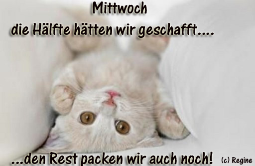 Mittwoch GB Pics - Gstebuch Bilder - 03-haelfte-geschafft-rest-packen-wir-auch-noch.jpg