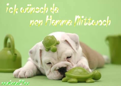 Mittwoch GB Pics - Gästebuch Bilder - hamma-mittwoch-hund.jpg Mittwoch GB Pics - Gästebuch Bilder - hamma-mittwoch-hund.jpg