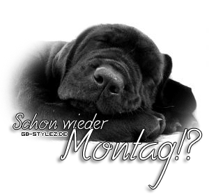 Montag GB Pics - Gästebuch Bilder - 11-schon-wieder-montag-hund.gif Montag GB Pics - Gästebuch Bilder - 11-schon-wieder-montag-hund.gif