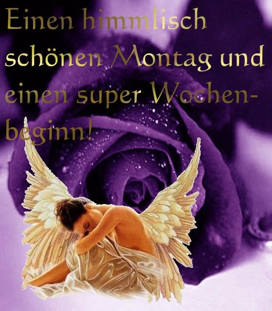 Montag GB Pics - Gästebuch Bilder - montag-fee-elfe.jpg Montag GB Pics - Gästebuch Bilder - montag-fee-elfe.jpg