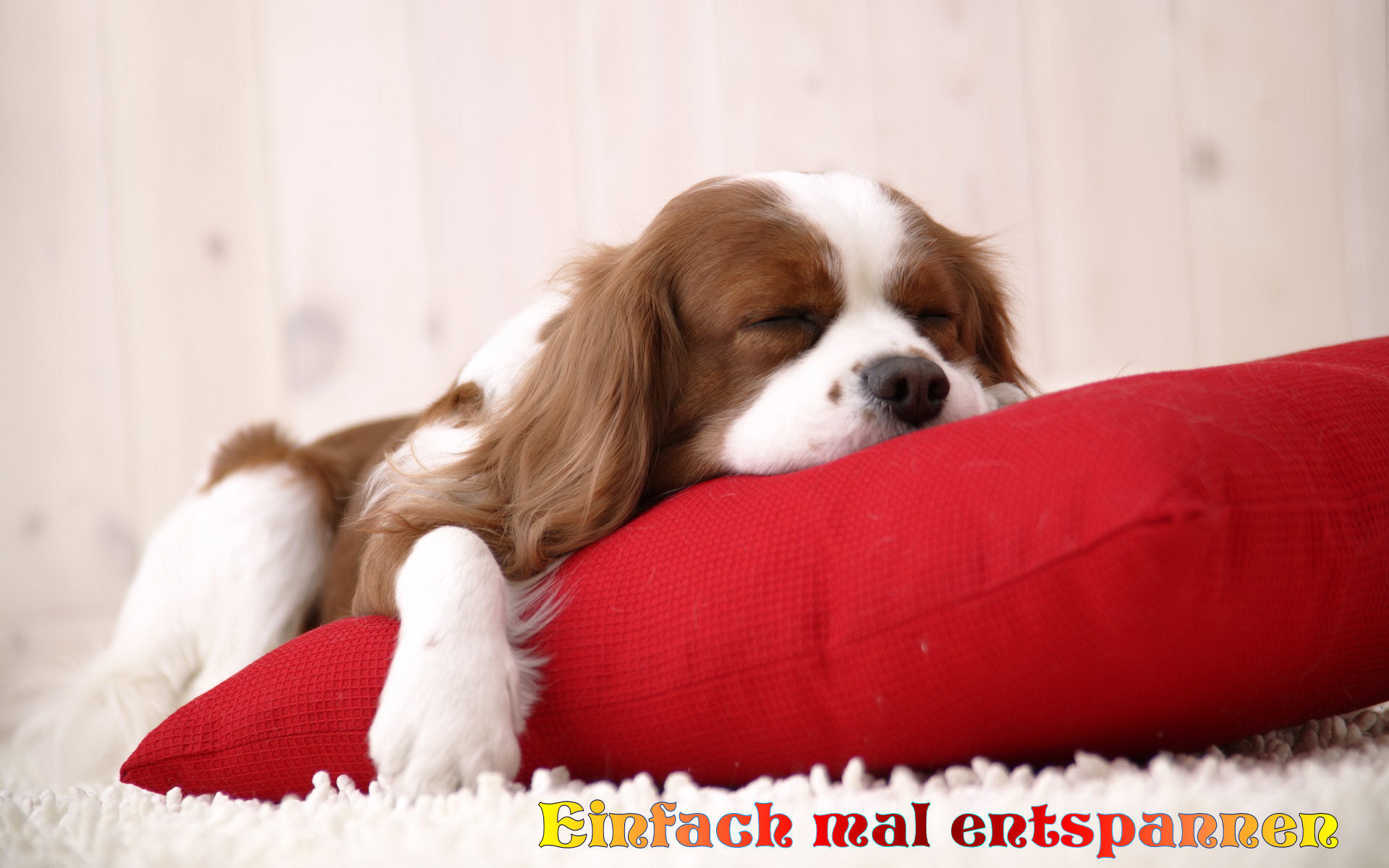 Relaxen GB Pics - Gästebuch Bilder - einfach_mal_entspannen.jpg Relaxen GB Pics - Gästebuch Bilder - einfach_mal_entspannen.jpg