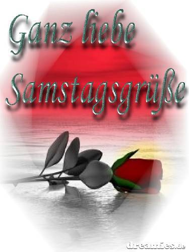 Samstag GB Pics - Gästebuch Bilder - rose-samstag-gruss.jpg Samstag GB Pics - Gästebuch Bilder - rose-samstag-gruss.jpg