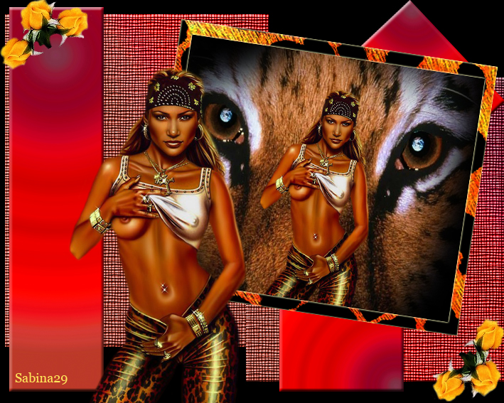 Sexy Girls GB Pics - Gästebuch Bilder - leoparden-opt.jpg Sexy Girls GB Pics - Gästebuch Bilder - leoparden-opt.jpg