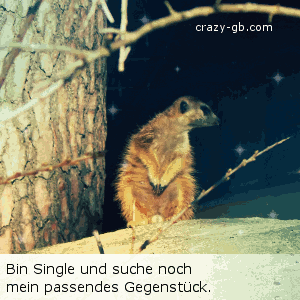 Single GB Pics - Gästebuch Bilder - single-auf-suche.gif Single GB Pics - Gästebuch Bilder - single-auf-suche.gif