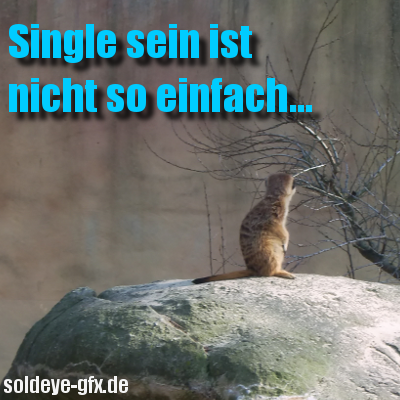 Single GB Pics - Gästebuch Bilder - singlesein.png Single GB Pics - Gästebuch Bilder - singlesein.png