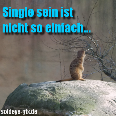 Single GB Pics - Gstebuch Bilder - singlesein.png