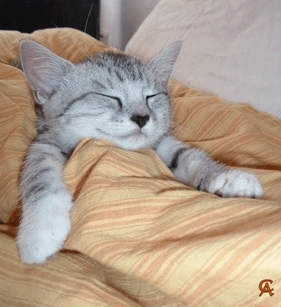 Sonntag GB Pics - Gästebuch Bilder - 003-kate-relaxen-entspannen-genieen.gif Sonntag GB Pics - Gästebuch Bilder - 003-kate-relaxen-entspannen-genieen.gif