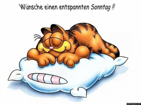 Sonntag GB Pics - Gstebuch Bilder - entspannten-sonntag-garfield.jpg