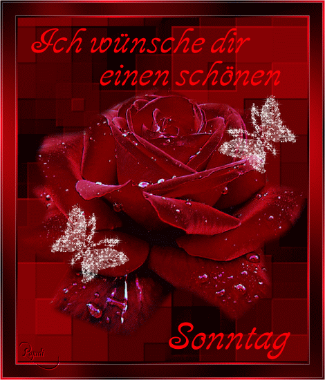 Sonntag GB Pics - Gästebuch Bilder - rose-sonntag.gif Sonntag GB Pics - Gästebuch Bilder - rose-sonntag.gif
