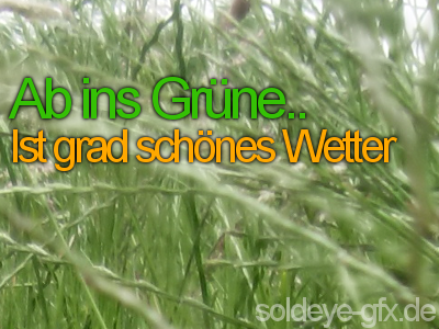 Sprüche GB Pics - Gästebuch Bilder - gruen-schoenes-wetter.png Sprüche GB Pics - Gästebuch Bilder - gruen-schoenes-wetter.png