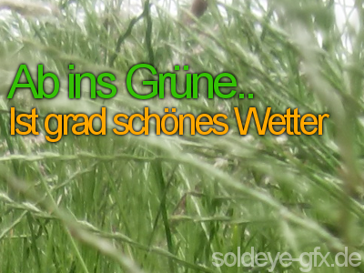 Sprche GB Pics - Gstebuch Bilder - gruen-schoenes-wetter.png