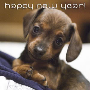 Silvester GB Pics - Gästebuch Bilder - happy_new_year_9.jpg Silvester GB Pics - Gästebuch Bilder - happy_new_year_9.jpg