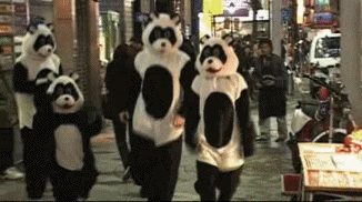 lustige Clips GB Pics - Gstebuch Bilder - Panda-jackass.gif