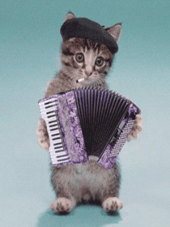 lustige Clips GB Pics - Gästebuch Bilder - katze-als-starssenmusiker.gif lustige Clips GB Pics - Gästebuch Bilder - katze-als-starssenmusiker.gif