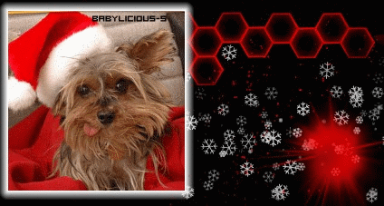 Weihnachten GB Pics - Gästebuch Bilder - frohe_weihnachten_22.gif Weihnachten GB Pics - Gästebuch Bilder - frohe_weihnachten_22.gif
