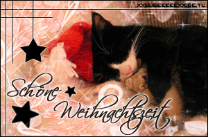 Weihnachten GB Pics - Gästebuch Bilder - schoene_weihnachtszeit_3.gif Weihnachten GB Pics - Gästebuch Bilder - schoene_weihnachtszeit_3.gif