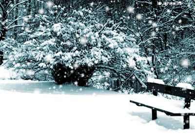 Winter GB Pics - Gästebuch Bilder - schnee-landschaft.gif Winter GB Pics - Gästebuch Bilder - schnee-landschaft.gif
