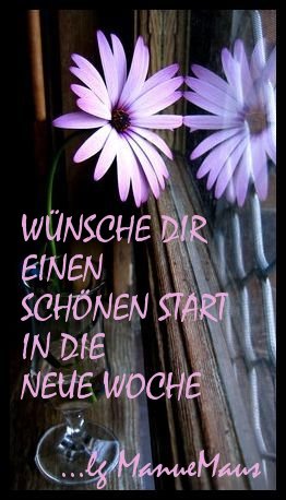 Wochenanfang GB Pics - Gästebuch Bilder - blume-am-fenster.jpg Wochenanfang GB Pics - Gästebuch Bilder - blume-am-fenster.jpg