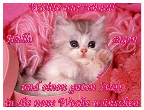Wochenanfang GB Pics - Gästebuch Bilder - hallo-guten-start.jpg Wochenanfang GB Pics - Gästebuch Bilder - hallo-guten-start.jpg