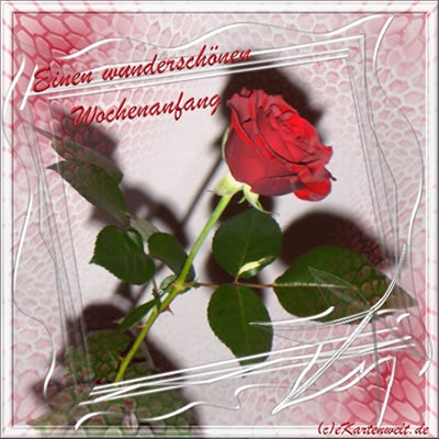 Wochenanfang GB Pics - Gästebuch Bilder - rose-wochenanfang.jpg Wochenanfang GB Pics - Gästebuch Bilder - rose-wochenanfang.jpg