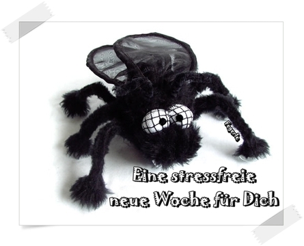 Wochenanfang GB Pics - Gästebuch Bilder - stressfreie-woche-spinne.jpg Wochenanfang GB Pics - Gästebuch Bilder - stressfreie-woche-spinne.jpg