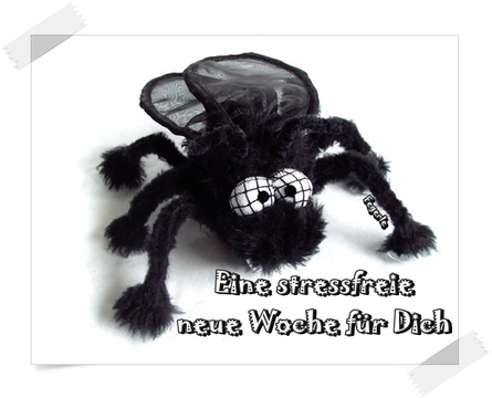 Wochenanfang GB Pics - Gstebuch Bilder - stressfreie-woche-spinne.jpg