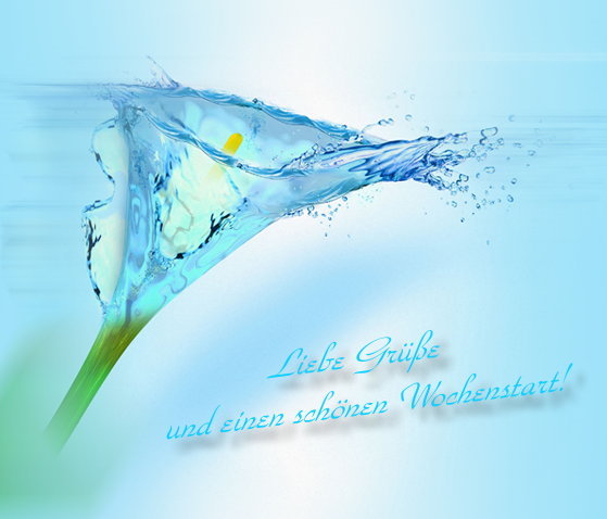 Wochenanfang GB Pics - Gstebuch Bilder - wasser-blume.jpg